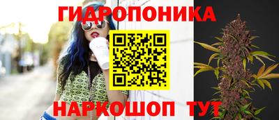 скорость Донской
