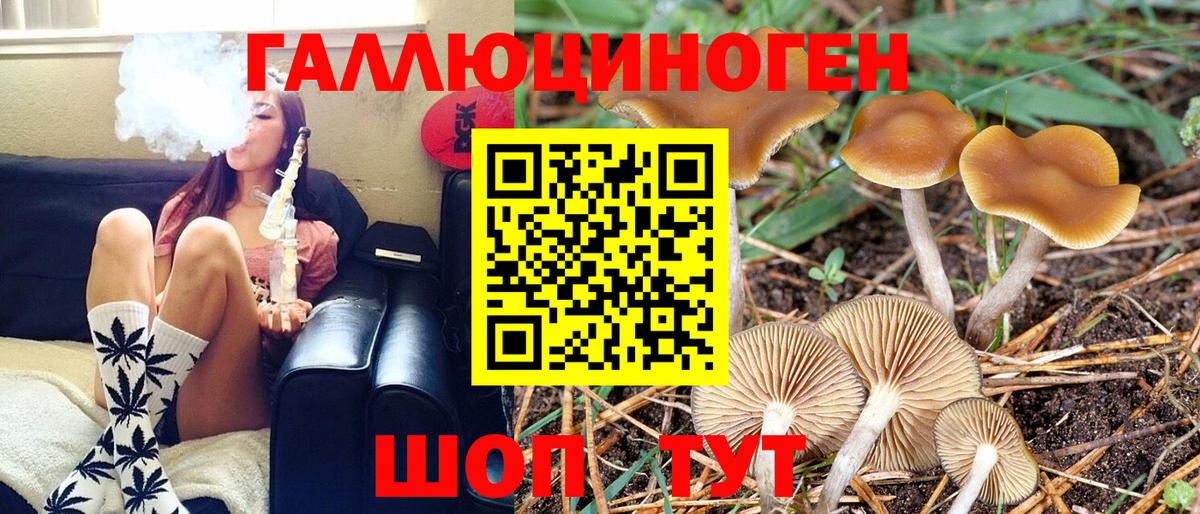 A-PVP СК   Кокаин  Каннабис  Луга  ГАШ  Экстази  МЕФ кристаллы  Вход с VPN  Продажа наркотиков 